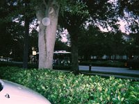 photos 2000-200901265